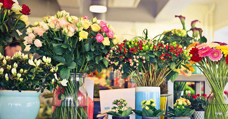 Welcome to the Clare Florist Blog